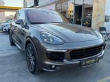 Porsche Cayenne S Diesel-Platinum Edition-Led-AHK - Porsche Cayenne: Platinum Edition