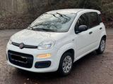 Fiat Panda Pop KLIMA 1HAND NUR 55TKM TÜV NEU - Fiat Panda: Pop