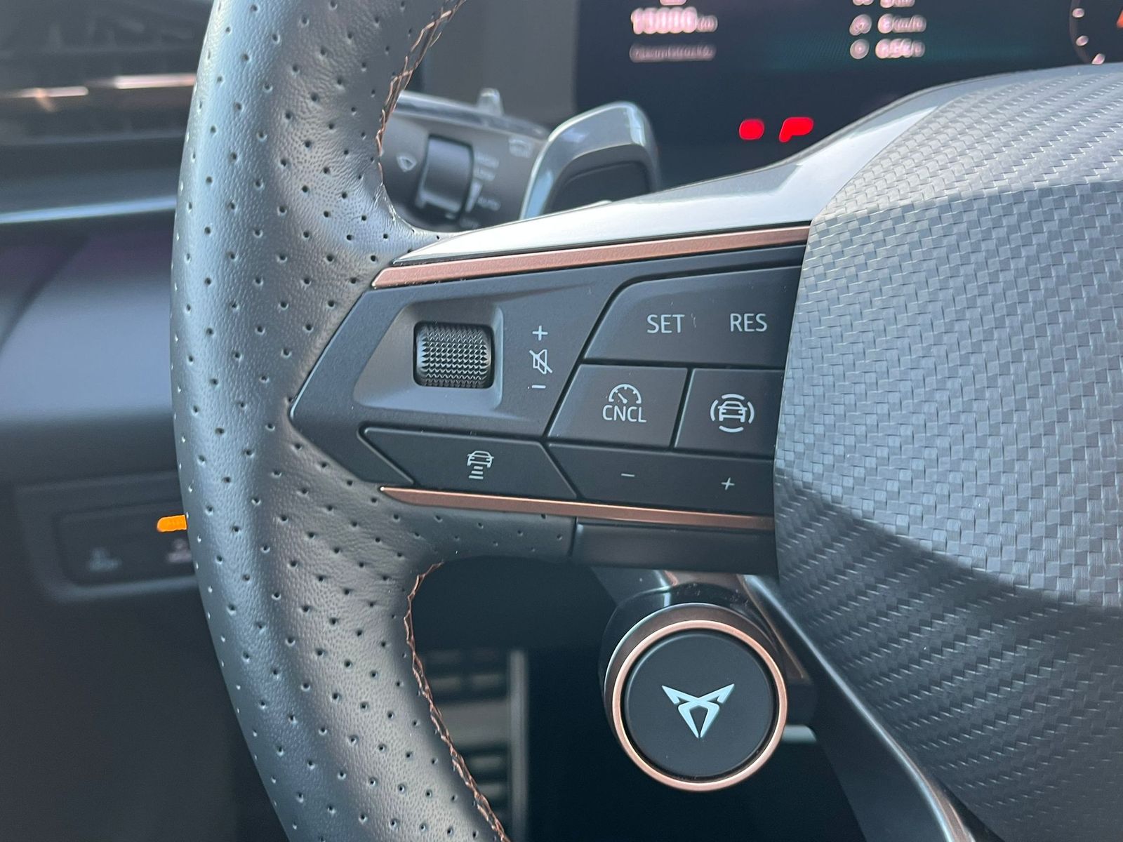 Fahrzeugabbildung CUPRA Terramar 2.0 TSI 4D VZ HUD*MATRIX*PANO*DCC*20"