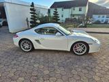 Porsche Cayman S 987 Scheckheftgepflegt bei Porsche - Porsche: 987