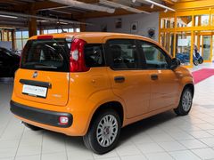 FIAT Panda Mild-Hybrid|DAB+|City-Lenkung|Klima|USB