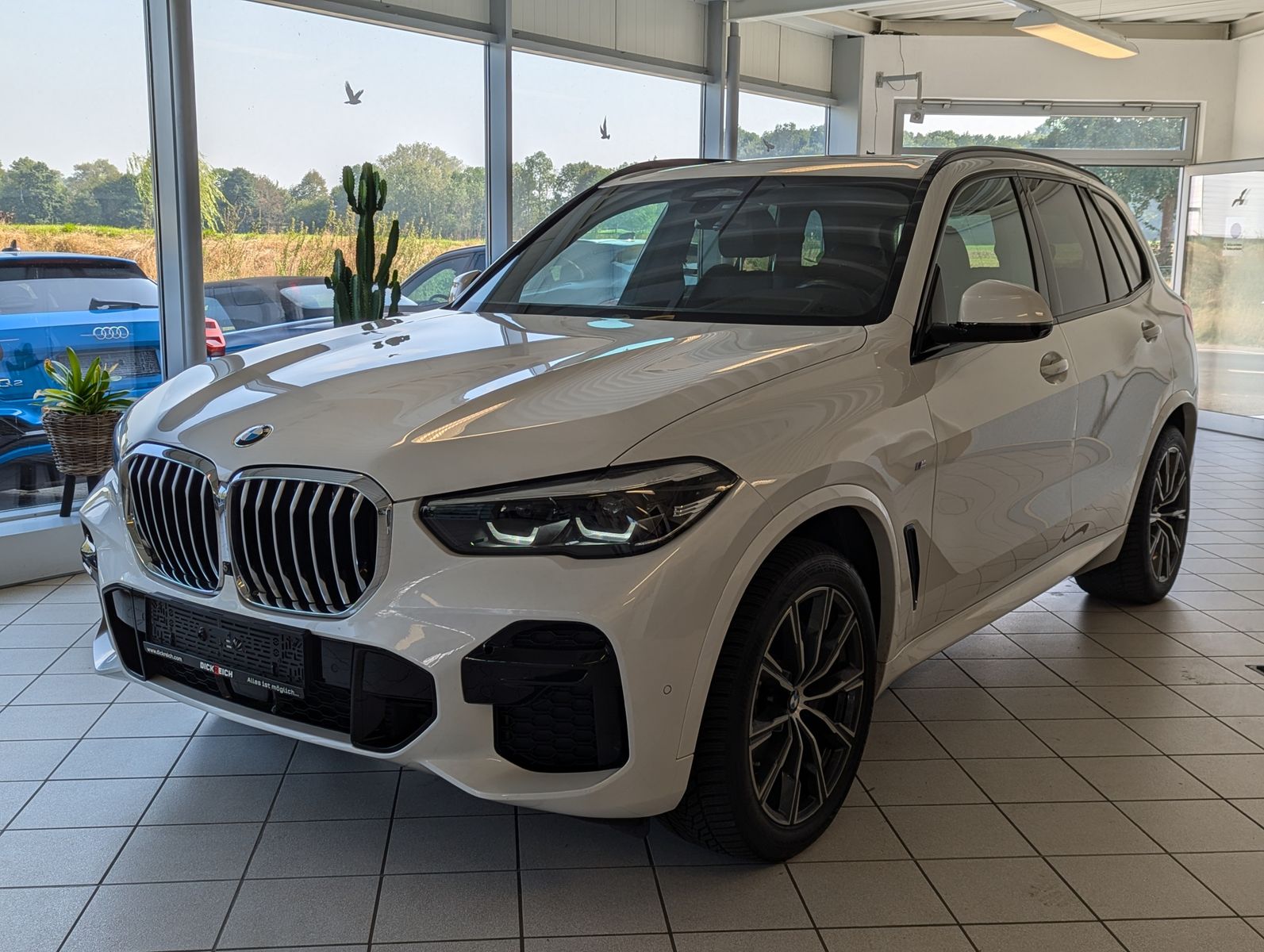 Fahrzeugabbildung BMW X5 xD 30 d M-Sport Pano ACC 360° AHK Dashcam