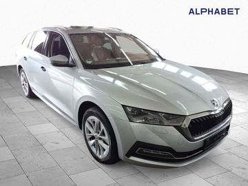 Skoda Octavia - 7