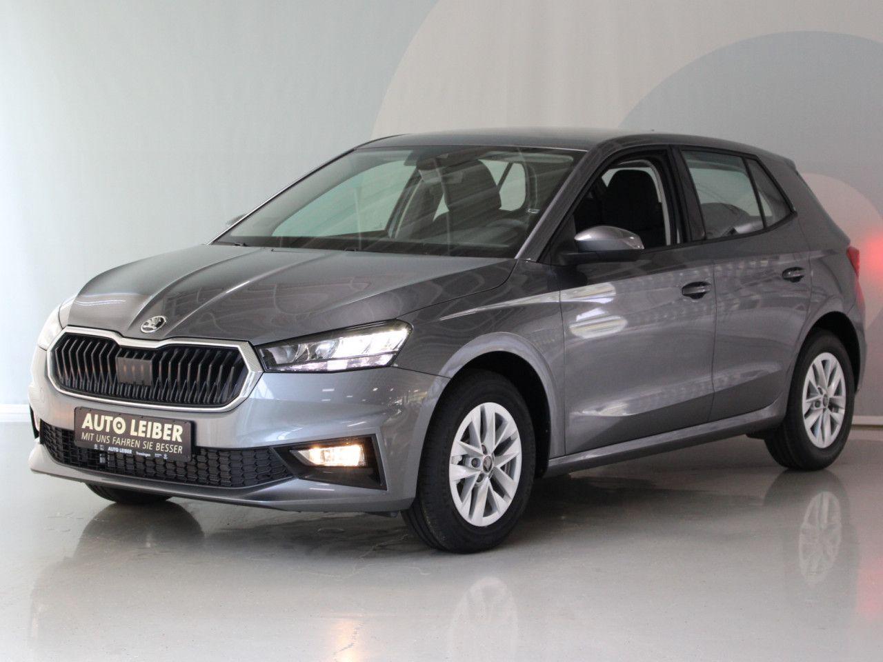Skoda Fabia 1.0 TSI Selection RFK/APP/SHZ/LANE