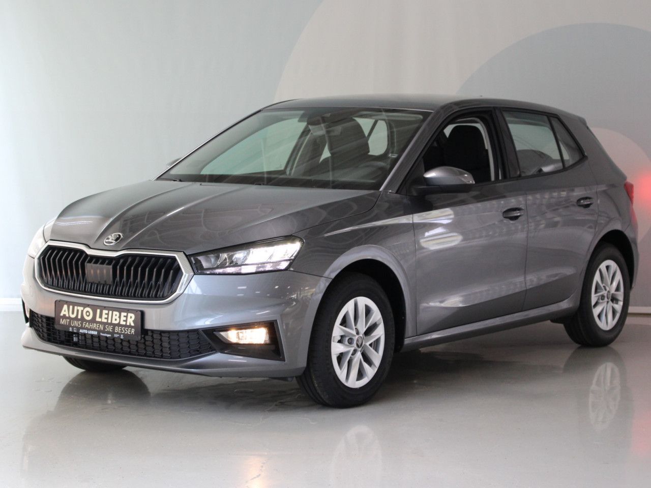 Fahrzeugabbildung SKODA Fabia 1.0 TSI Selection RFK/APP/SHZ/LANE