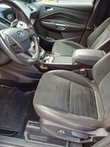 Ford Kuga 1,5 EcoBoost 4x2 110kW ST-Line ST-Line - Ford Kuga: 2.5