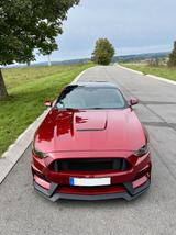 Ford Mustang 5.0 Ti-VCT V8 Bullitt Shelby GT350 Style - Ford Mustang: Shelby Gt350
