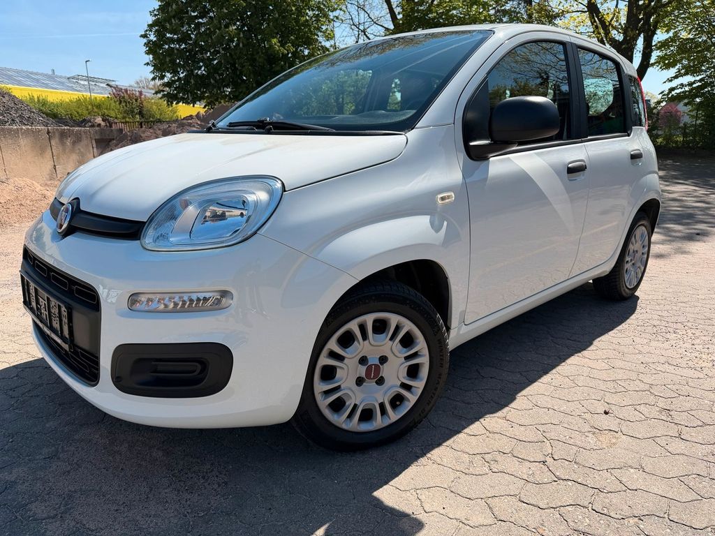Image of Fiat Panda