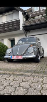 Volkswagen VW Käfer Faltdach Dickholmer 1963 - Volkswagen LT in Duisburg