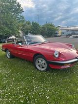 Alfa Romeo Spider 1,6 TÜV, gepflegt, lücke... - Alfa Romeo aus 1988