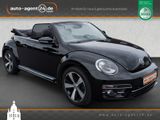 Volkswagen Beetle Cabrio 1.4 TSI Allstar+/R-Line/Kamera - Volkswagen Beetle: Automatik