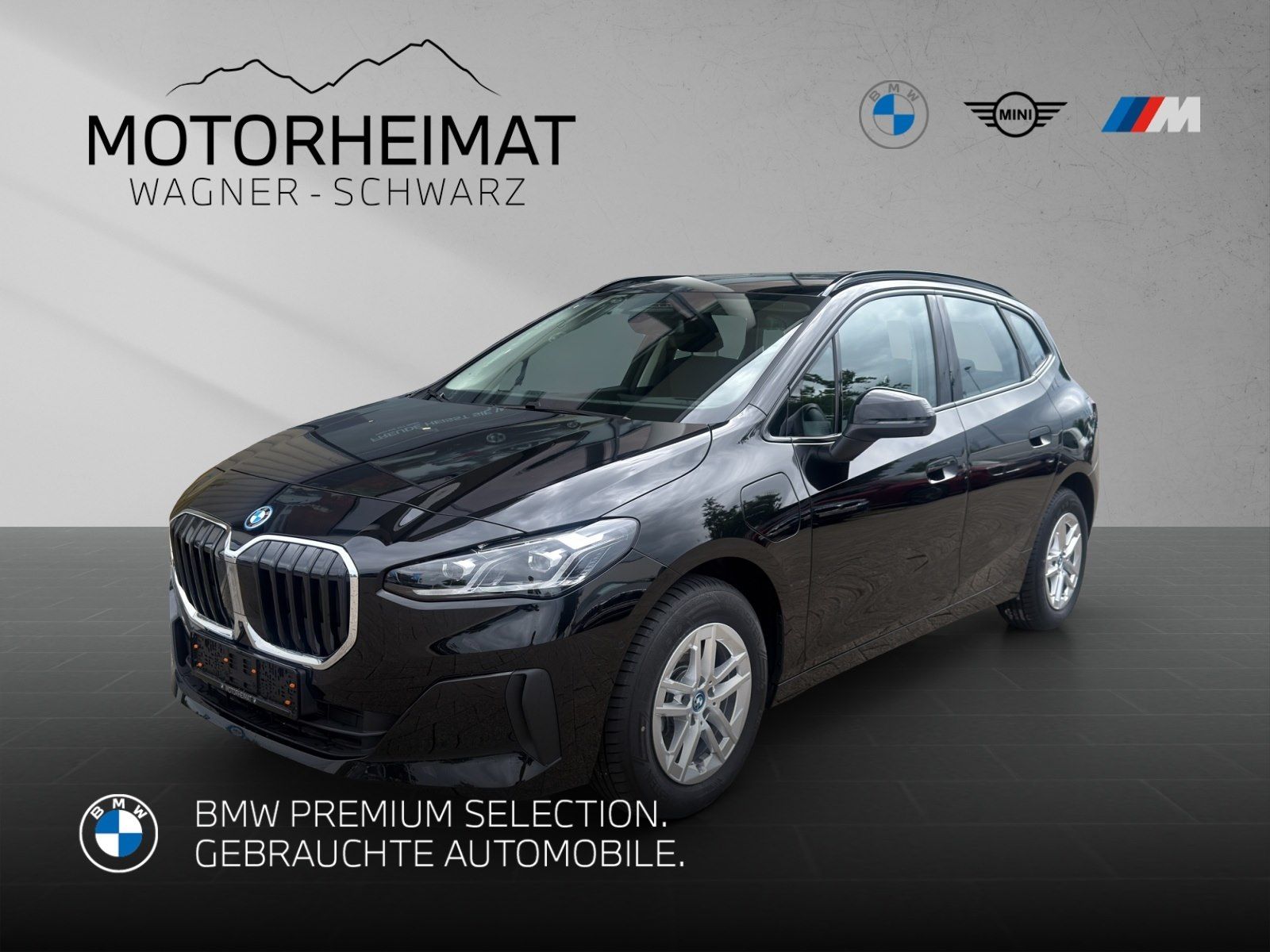 BMW 225e xDrive Active Tourer Prof. Paket ACC 360° A