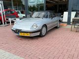 Alfa Romeo Spider Quadrifoglio Verde | 198... - Alfa Romeo aus 1988