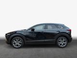 Mazda CX-30 2.5 e-SKYACTIVE G 140PS Aut. EXCLUSIVE-LIN - schwarze Mazda CX-30