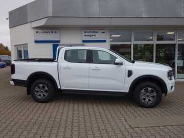 Bild 3 Ford Ranger XLT 4x4 Doppelkabine