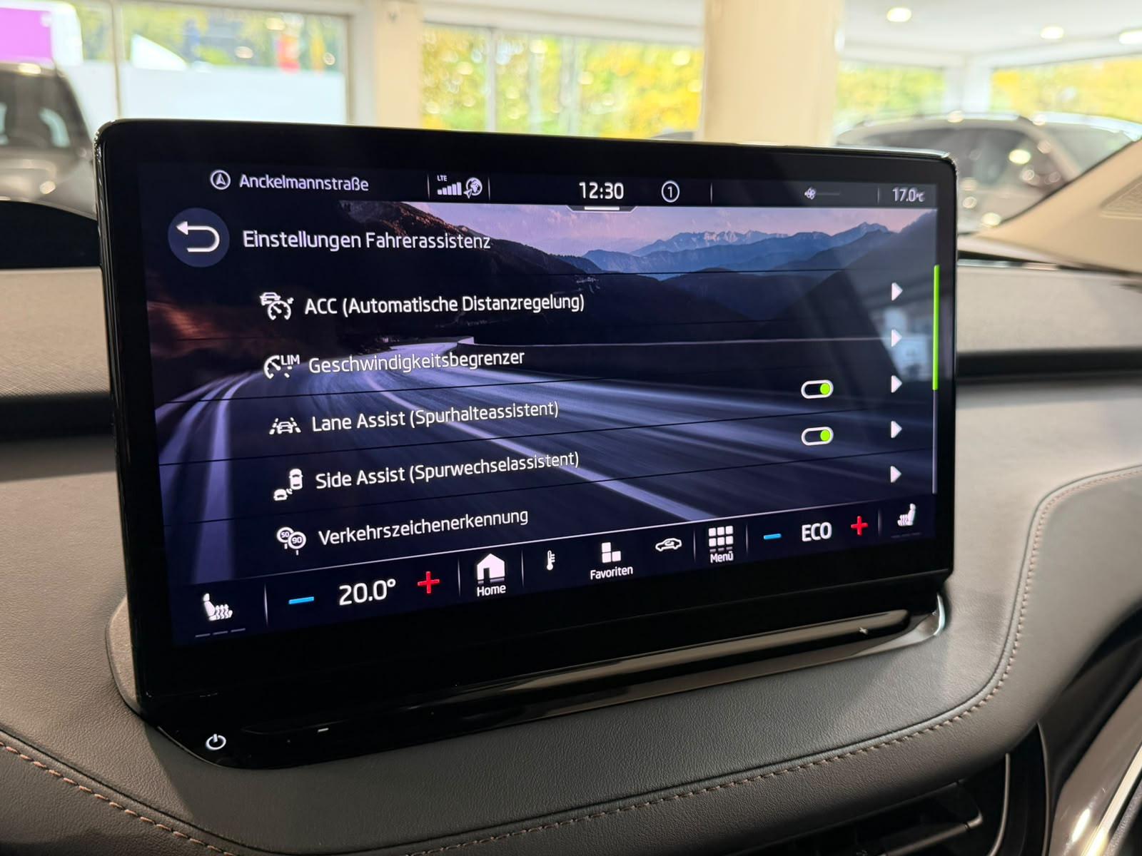 Skoda Enyaq 80 Suite *Crystal Face*Smart Link*LED*1H*