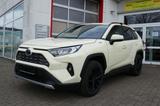 Toyota RAV 4 2.5 Hybrid Team D Taxi Paket, Relax Garant - mit Hybrid-Antrieb: Taxi