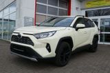 Toyota RAV 4 2.5 Hybrid Team D Taxi Paket, Relax Garant - mit Hybrid-Antrieb: Taxi