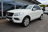 Mercedes-Benz ML 250d 4M*AUTOMATIK*SHD*SHZ*AIRMATIC*AHK* - weiße Mercedes-Benz ML 250