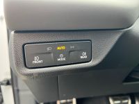 Cupra Terramar - Vorschau Bild 21
