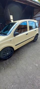 Fiat Panda  - Fiat Panda Gebrauchtwagen in Bremen