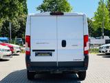 Fiat Ducato Kasten 30 115 L1H1+1. HAND+KLIMA+TÜV+AHK - Fiat Ducato: 11