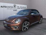 Volkswagen Cabriolet Allstar BMT/Start-Stopp*KAMERA*FENDER* - Volkswagen Beetle in Hannover