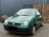 Volkswagen Lupo 1.0 BASIS Basis - Volkswagen Lupo: Basis