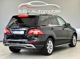 Mercedes-Benz ML 250 CDI BlueTec 4M/7G/Bi-Xenon/Navi/AHK/Euro6 - Mercedes-Benz ML 250 aus 2012