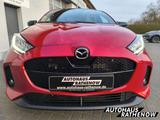 Mazda 2 Hybrid Homura Plus 1.5 EU6d HUD Navi digitales - Mazda: Eu