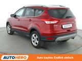 Ford Kuga 1.5 EcoBoost Sync Edition*STANDHZG*PDC*SHZ* - Ford Kuga Gebrauchtwagen in Freiburg
