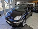 Fiat Panda Lounge Sitz- und Frontscheibenheizung - Fiat Panda LOUNGE mit Benzin-Antrieb