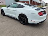 Ford Mustang 2.3 ecoboost - gebrauchte Ford Mustang aus dem Jahr 2023