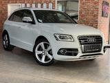 Audi SQ5 3.0 TDI competition quattro-Standhzg-Kam-AHK - Audi SQ5: Competition