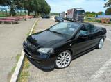 Opel Cabrio, Opel Astra G Bertone 2,2l, 147 PS - Opel: Cabrio, Bertone