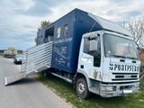 Iveco 80 E 15 Rampe rechts, 4 Pferde, Ahk, Kamera, B/B - Iveco 80 e 15