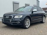 Audi SQ5 3.0 TDI Quattro*SLINE*AHK*BOSE* - gebrauchte Audi SQ5 aus dem Jahr 2014