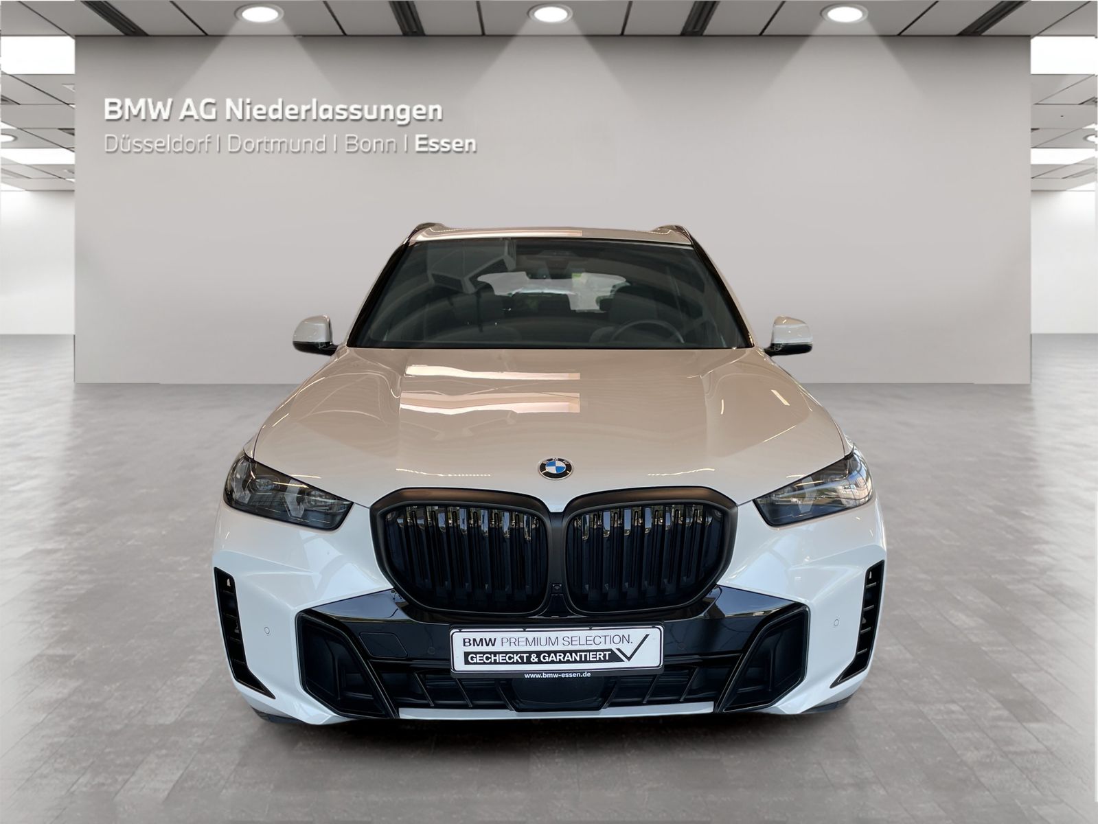 BMW X5 xDrive40d M Sport AHK Driv.Assist.Prof LED foto 5
