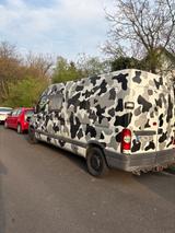Renault Master (teilweise ausgebaut)  - gebrauchte Renault Master aus dem Jahr 2004