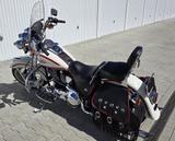 Harley-Davidson Softail Hertiage Springer FLSTS - HARLEY-DAVIDSON SPRINGER SOFTAIL