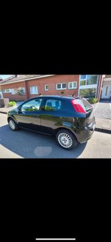 Fiat Punto 1.2 8V Active Actine - Fiat Punto in Bielefeld