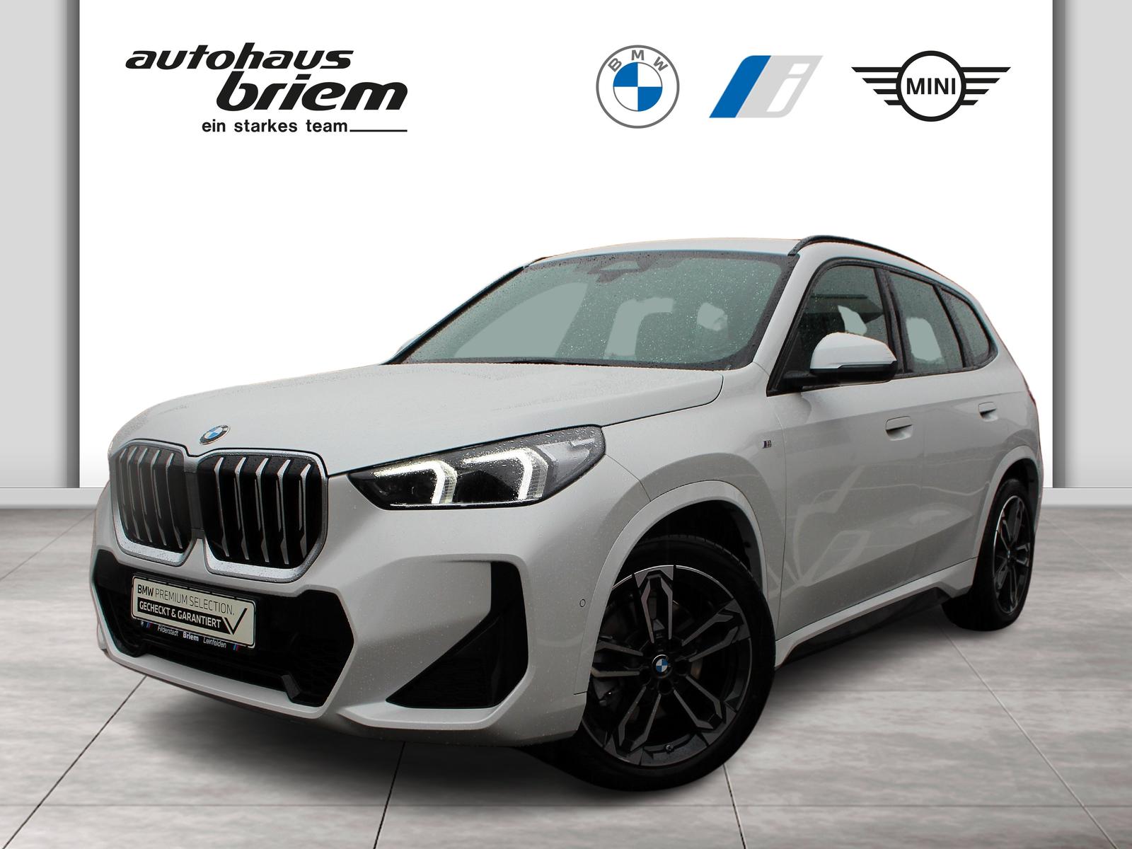 BMW X1 sDrive20i M Sport AHK 19" DrivingA.Plus Sitzv
