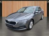 Skoda Octavia 1.0 TSI DSG Ambition*Einparkhilfe*LED - Skoda aus 2023