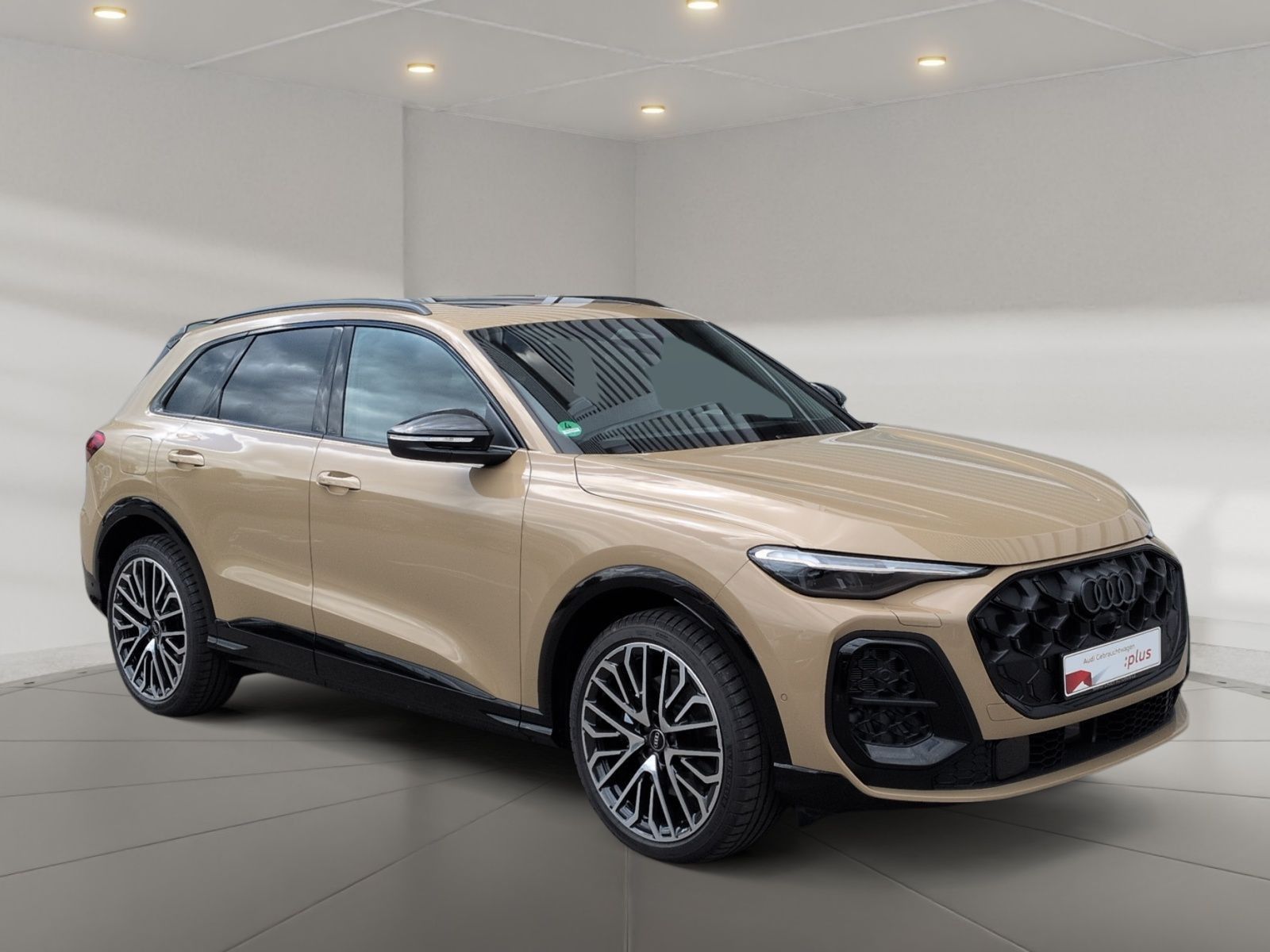 Audi SQ5 - Bild 7