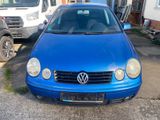 Volkswagen Polo IV Highline 1.4 Klima. - Volkswagen Polo aus 2002
