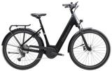 Diamant Mandara Gen 3 Einstieg: tief - 55 cm L - Diamant E-Bikes