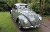 Volkswagen Käfer Brezel matching numbers - Autos aus dem Jahr 1950