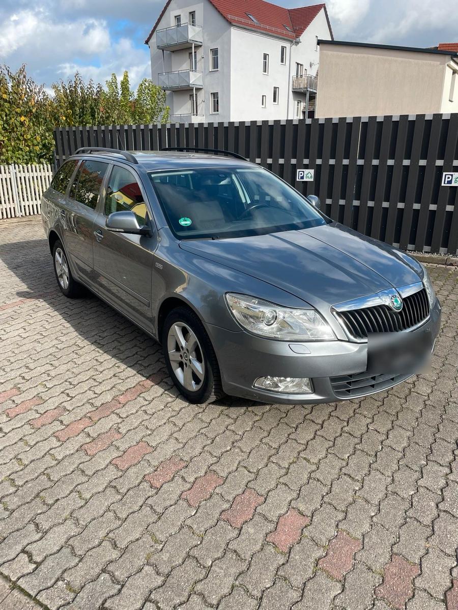 Skoda Octavia 2012 — вигляд ззаду