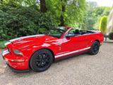 Ford Mustang FORD MUSTANG SHELBY GT500 COBRA 5.4 V8 g - Ford Mustang: Cabrio, Shelby Gt500