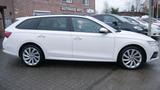 Skoda Octavia Combi Sondermodell  First Edition - Skoda Octavia: Sondermodell